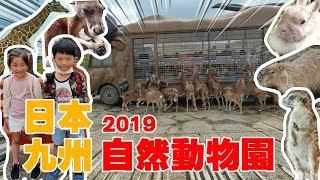 九州自駕自由行。九州野生動物高速休息站由布院湯布院金鱗 ...