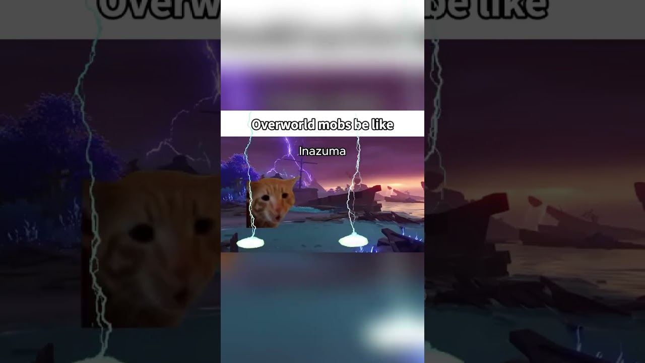 Genshin Mobs in a Nutshell | 