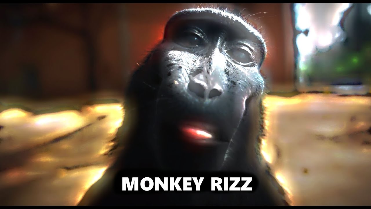 [ MONKEY RIZZ ] - YouTube