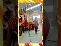 Delhi metro funny scenes #shorts #shortvideo