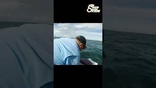 How To Rig A Live Slimy Mackerel On Wire