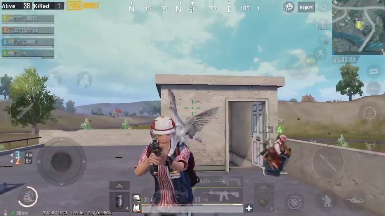 Pubg Mobile Falcon Bird - Hack Pubg Mobile 4t - 