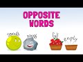 English opposite words for kids  kids vocabulary