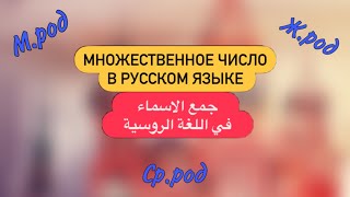 множественное число (часть 1) | قواعد | جمع الاسماء في حالة الاسمية (الجزء الأول)