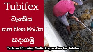 Tank and Growing Media Preparation for Tubifex Worms Sewage Sludge Worms #tubifex #fishfeed 🐛🐟