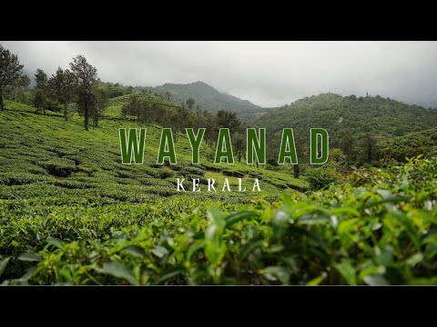 Monsoon trip | Wayanad,Kerala