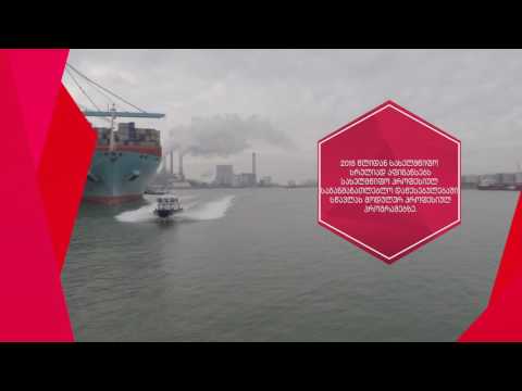 საბაჟო საქმის სპეციალისტი (V დონე)