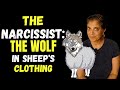 The Narcissist The Wolf In Sheep S Clothing The Narcissist The Wolf In Sheep S Clothing