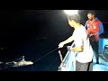 Catching Mangrove Jack, Marine Cat Fish &amp; Guitar Fish in Sea