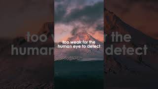 Random Fact About Human Eyes