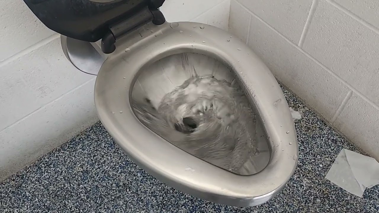 The Unisex Restroom at Madison Park✨