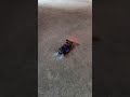 #bmw #hotwheels #rc #rccar #rclovers #toys #viralshort #drifting #viralshort #1000subscriber
