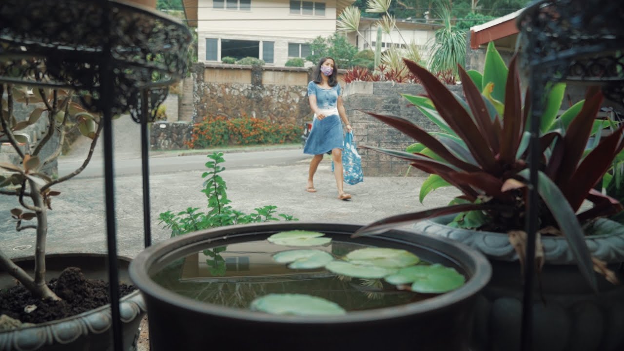 Coronacare Hawaiʻi - Delivery Volunteer Safety Video