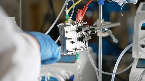 Electrochemical device captures carbon dioxide at the flick of a switch