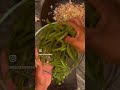 Cooking And Preserving Your Summer Garden Harvest #shorts #short #shortvideo