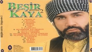 Beşir Kaya - Delale Merdini Resimi