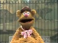 Fozzie bear  tuesday march 2 joke