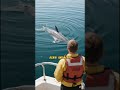 The Ocean Sent a Messenger #oceanmystery #animalheroes #viral #viralvideo #viralshort #ytshorts