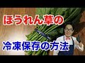 【賢く長持ち】ほうれん草の冷凍保存の方法