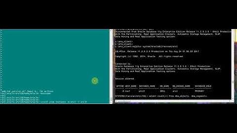 Oracle RAC     demo create a server side TAF service