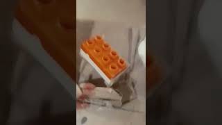 perrito malvado