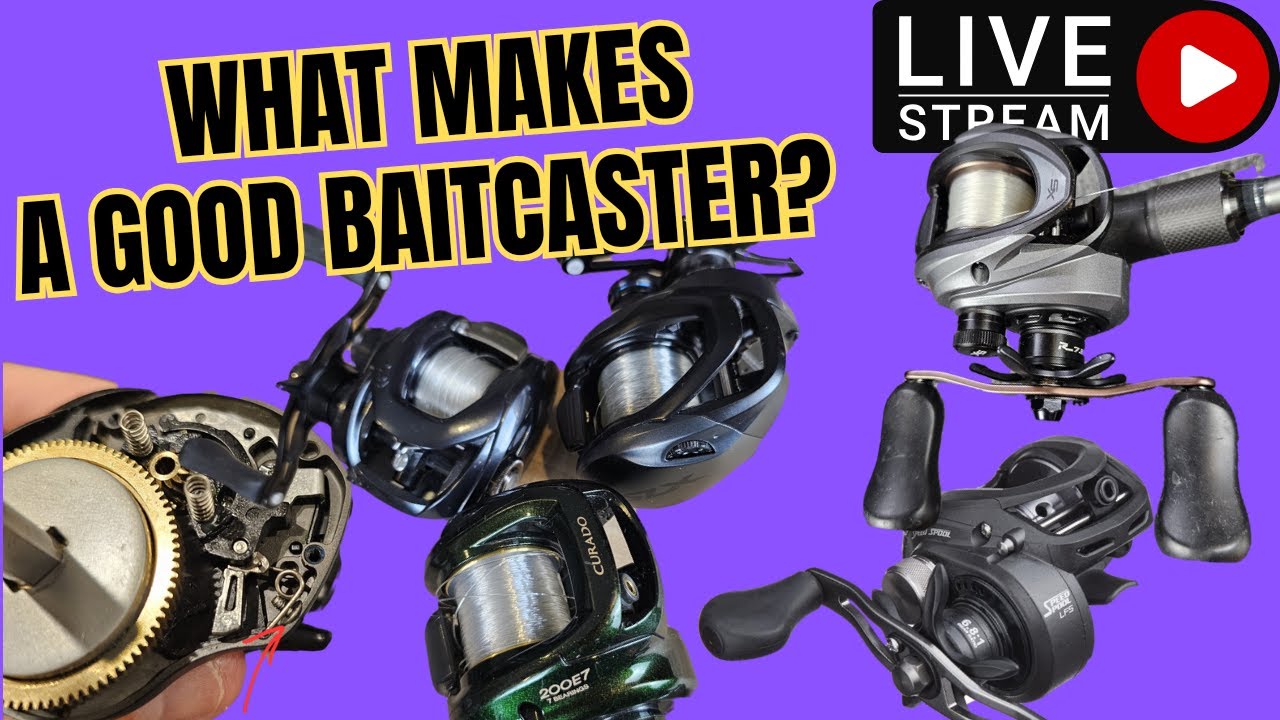 live-what-makes-a-good-baitcaster-live-teardown-youtube