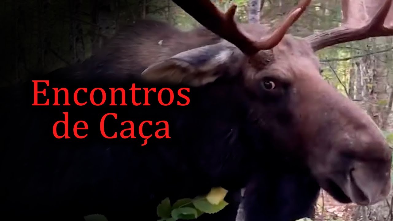 Os Piores Encontros de Caçadores