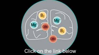 Dolovent magnesium, B2, CoQ10 dietary supplement for brain health screenshot 4