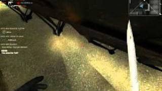 Combat arms Junk Flea Glitch 2010
