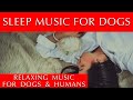 Relaxing Sleep Music for Dogs and Humans | 432Hz Meditation Music