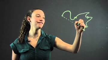 What Is a Line of Displacement? : Math-Tastic