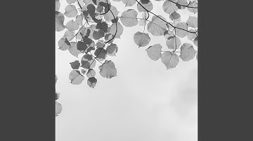 Pulsating Backdrops for Devoted Inspiration