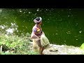 Net Fishing | Catching Big Fish With Cast Net | Net Fishing in the village (Part-55)