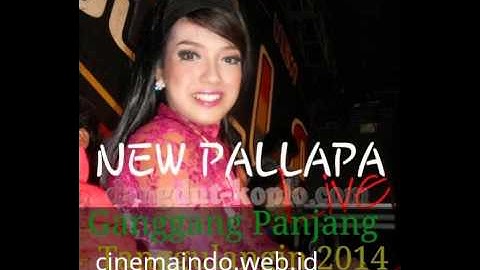 Download Lagu Luka Hati Luka Diri Tasya & Denan New Pallapa Live Ganggang Panjang 2014