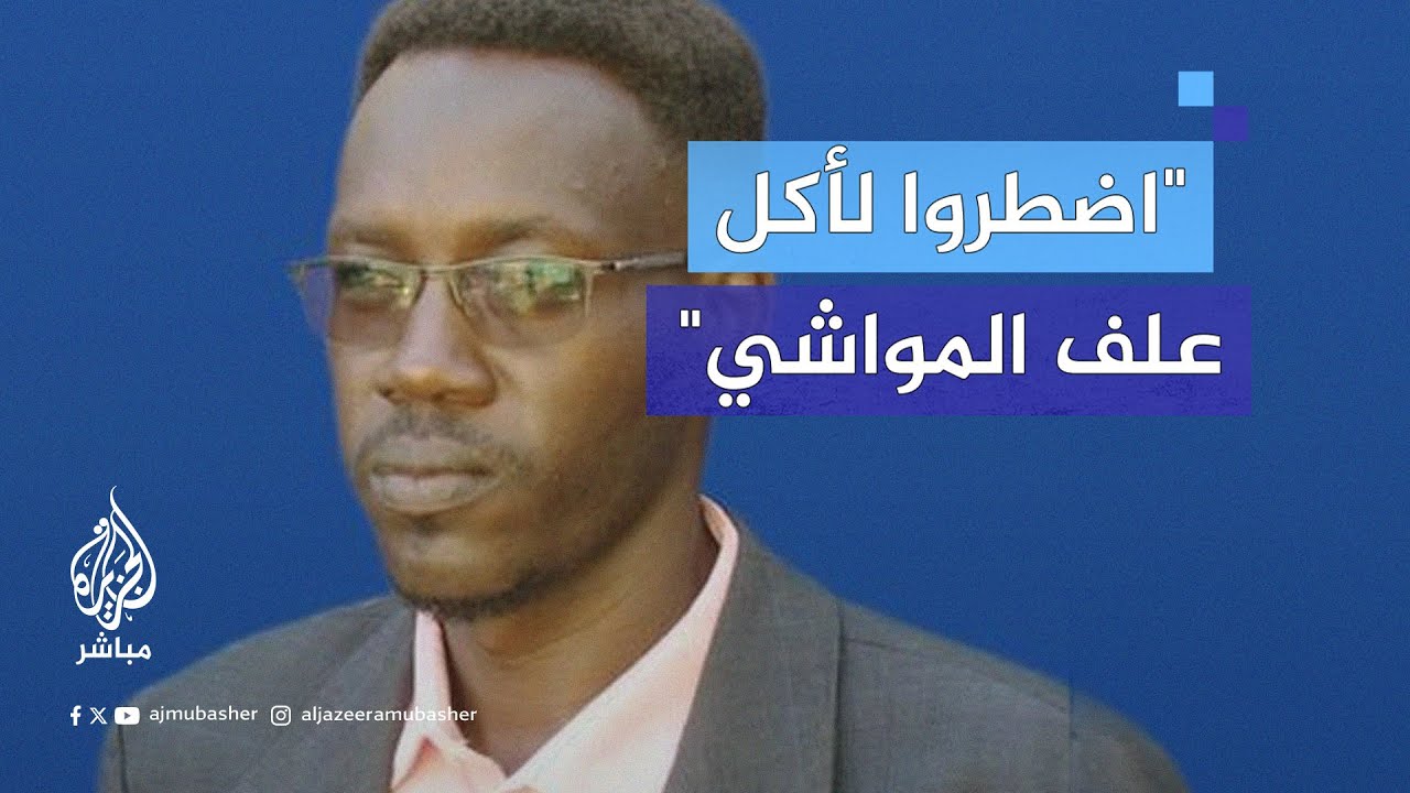 صحفي سوداني يكشف الأوضاع الكارثية التي وصلت لها مدينة الفاشر في ظل المجاعة وانعدام المساعدات