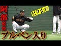 阿部慎之助監督、ブルペン入り