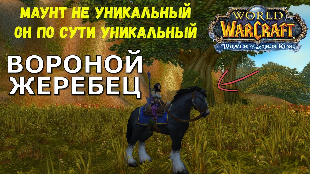 Вороной жеребец! Где взять? - YouTube