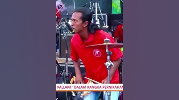 Cak Alex Tamborin Goyang Pargoy New Pallapa#shorts