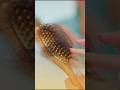 How to Stop Hair Fall in Just 7 Days | Hair Care Routine for Healthy Hair | Upasana Ki Duniya