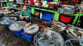 Ben Tre Market Vietnam 🇻🇳 | Fresh Food and Real Life in Mekong Delta