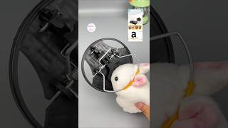 rat 🐀 traps tool / mouse trapping for indoor & outdoor amazon finds #rattrap