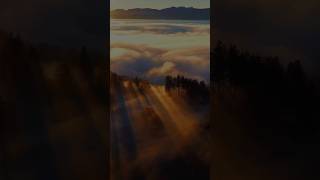 I will come even closer | Mahmoud Hasanat | Sahih Al-Bukhari, 7405 | #alquranfm #MahmoudHasanat screenshot 1