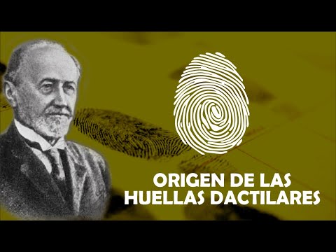 Video: ¿Quién escribió las huellas dactilares del libro?