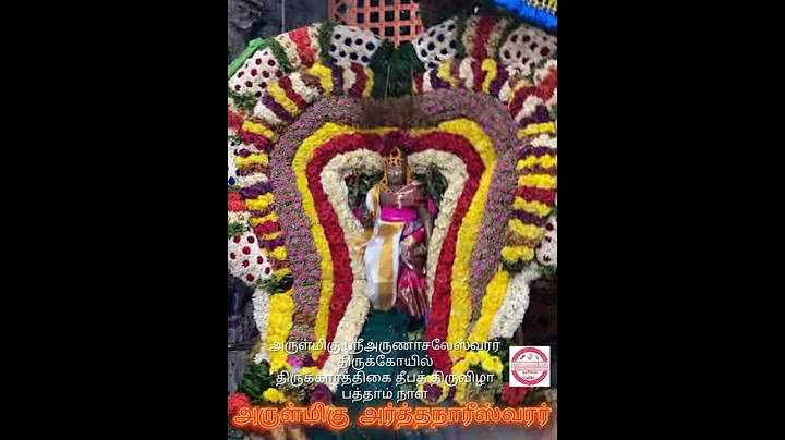 திருவண்ணாமலை அருள்மிகு அருணாச்சலேஸ்வரர் கோயில் கார்த்திகை தீபத் திருவிழா || அர்த்தநாரீஸ்வரர் தரிசனம்