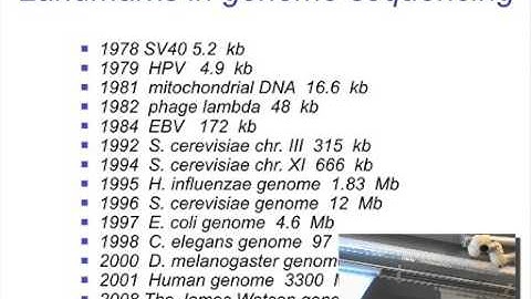 Phylogeny and evolution (part 1)