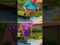 Five Little Ducks | Punjabi Kids Rhymes #taarakmehtakaooltahchashmah #kidsmusic