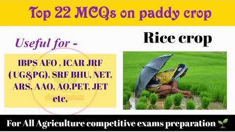 Top MCQs on Rice crop for All Agriculture competitive exams IBPS-AFO, ICAR, JRF, UG &  PG|agriupdate