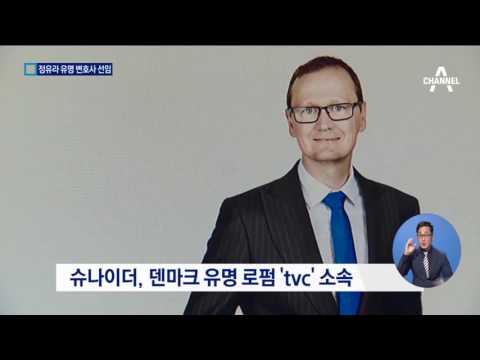 정유라, 국선 아닌 거물급 ‘황제 변호’ 논란
