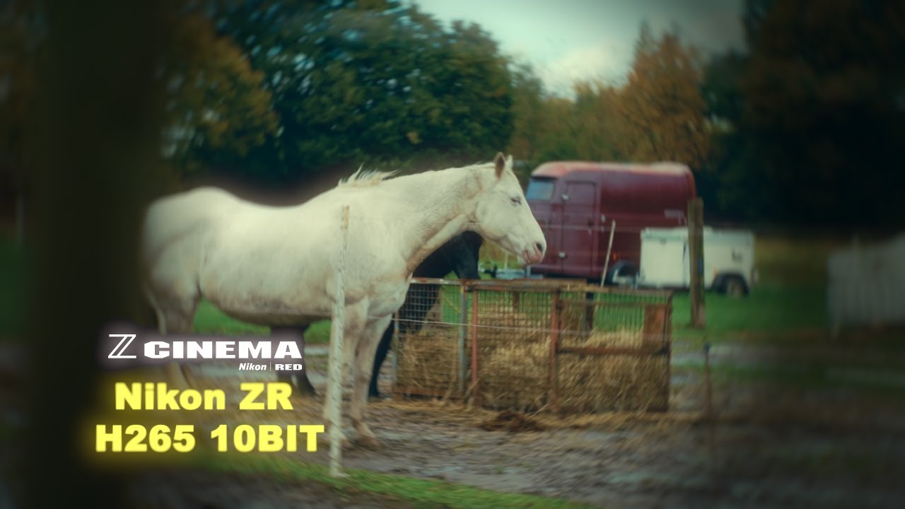 FIRST SHOTS: Nikon ZR - H265 10 BIT | HANDHELD NIKKOR Z 24-70mm f/2.8 S