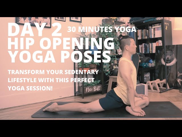 100 DAYS OF YOGA CHALLENGE | DAY 2 | PERFECT HIP OPENING YOGA POSES class=